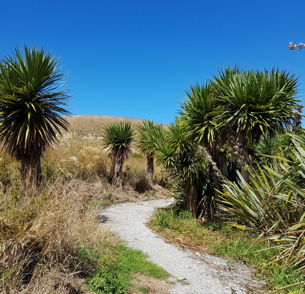 Huriawa Peninsula