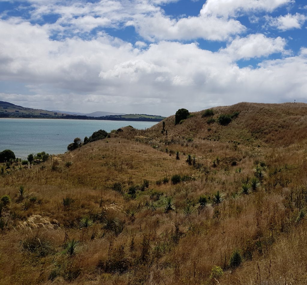 Spring location on Huriawa Peninsula