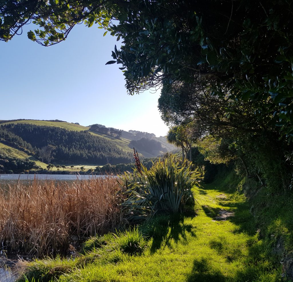 Track around Tomahawk Lagoon