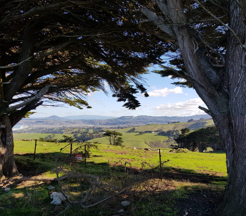 South Dunedin from Karetai Road