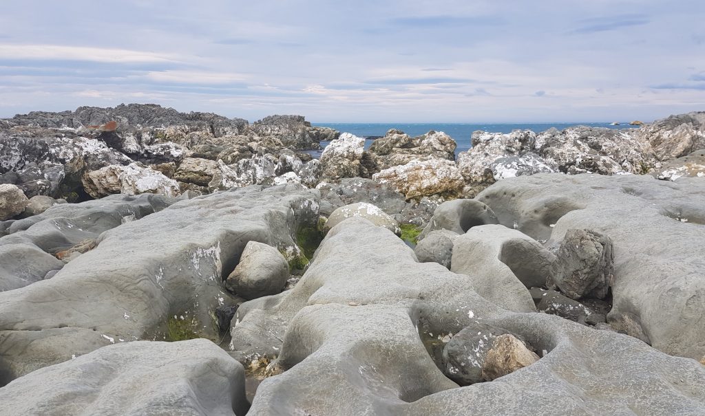 Uplifted rocks at Ward Beach