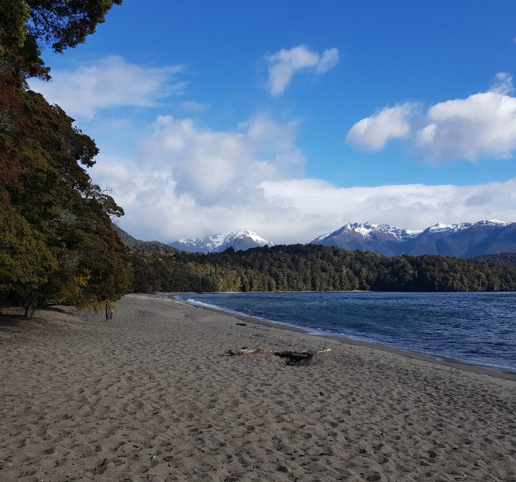 Brod Bay on the Kepler Track