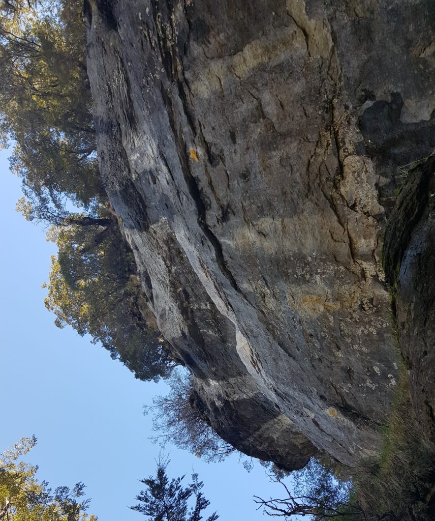 Impressive limestone bluffs on the Kepler Track