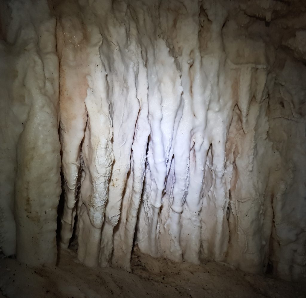 Stalactites in Luxmore Cave
