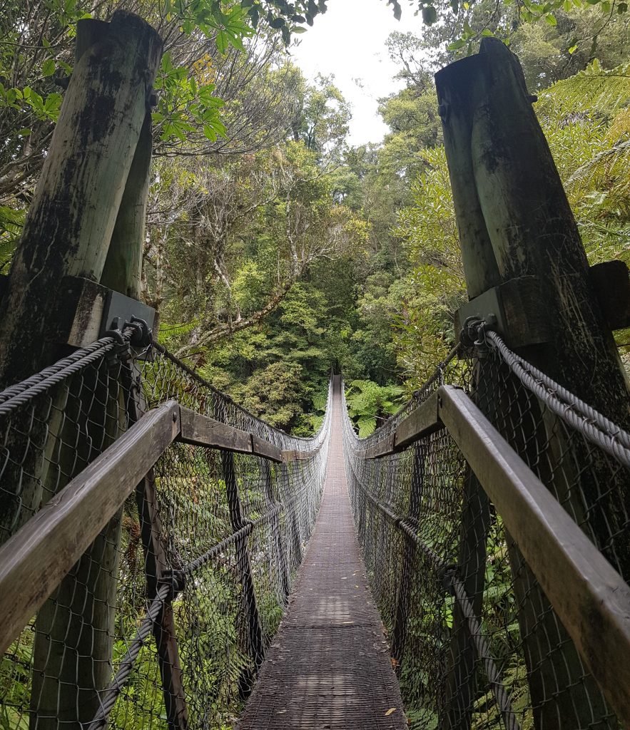 Pakuratahi Forks swing bridge