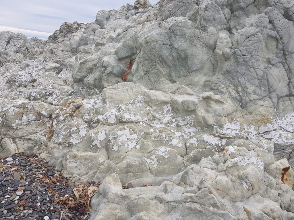 White-striped rocks at Ward Beach