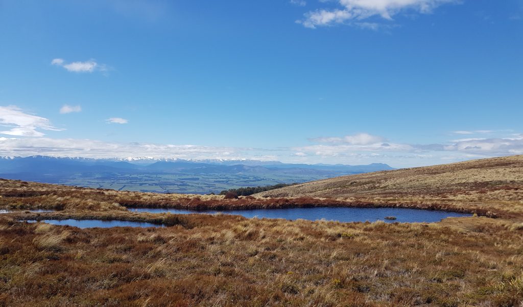 Tarn on Mount Luxmore