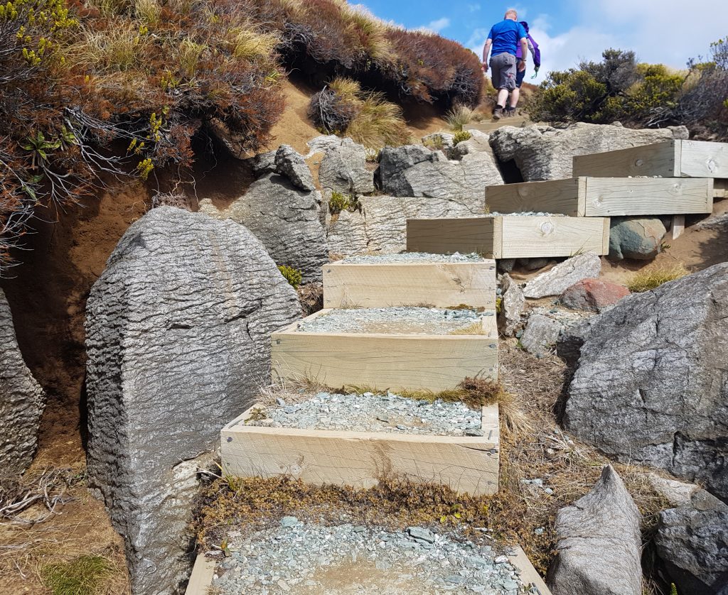 The path to Luxmore Caves