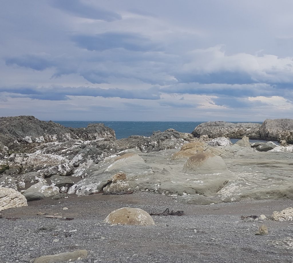 Concretions at Ward Beach