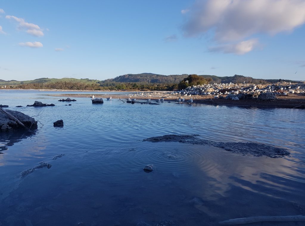 Sulfur Bay, Rotorua