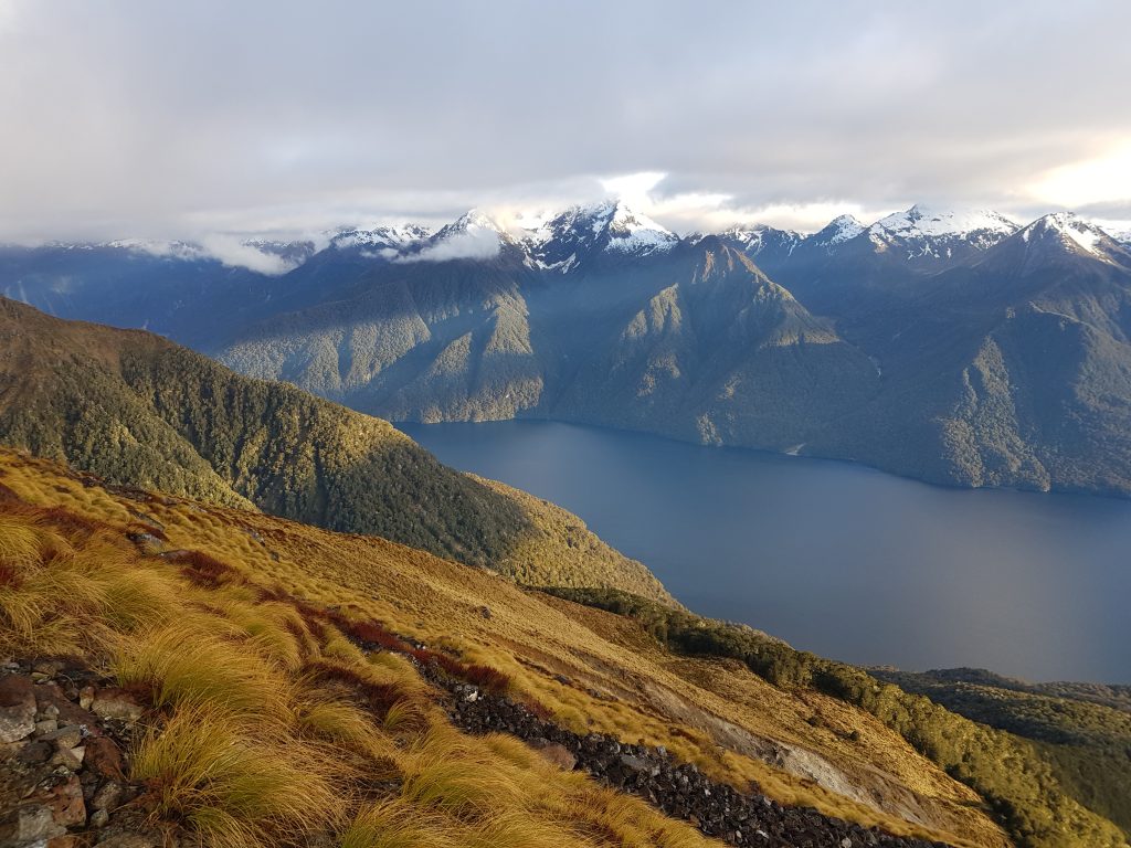 Morning on the Kepler Track