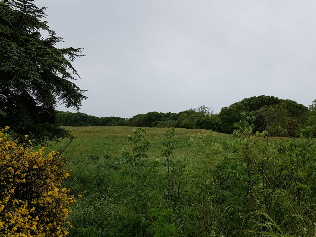 Site of Kaiapoi Pa