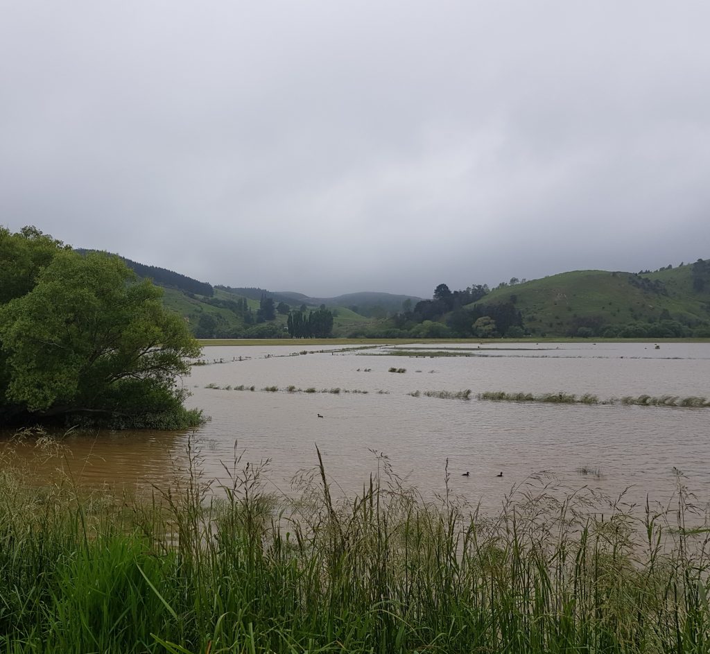 The Taieri Plain in flood