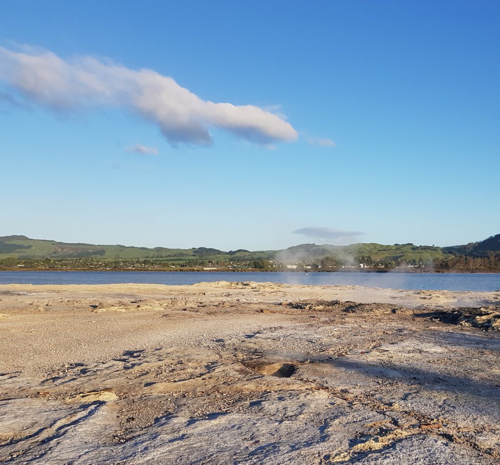 Rotorua lake shore