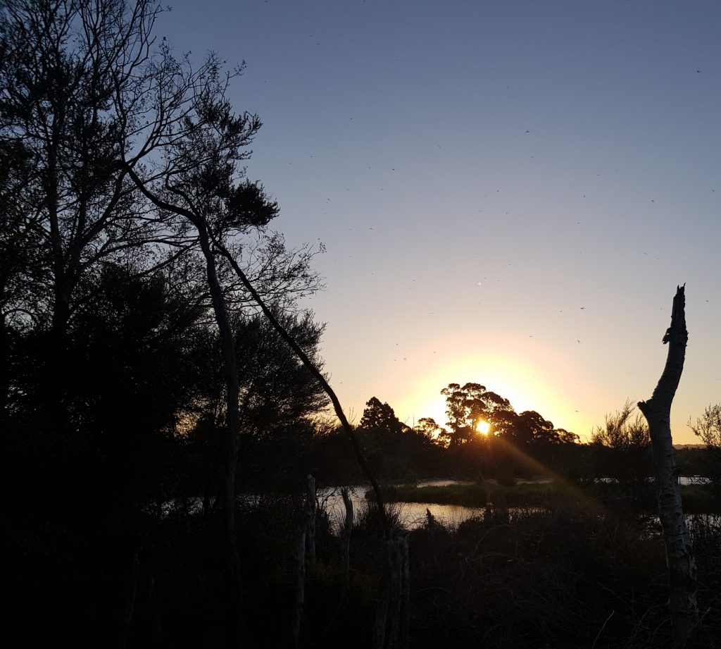 Rotorua Sunset