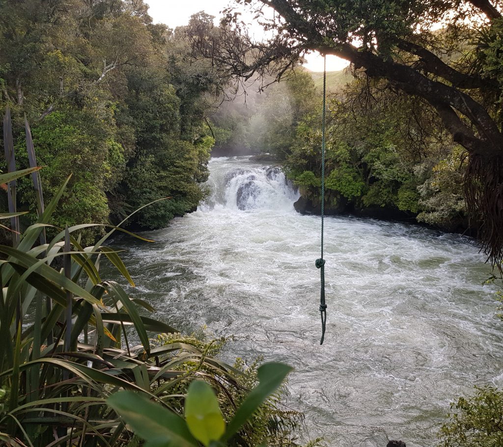 Trout Pool at Okere Falls