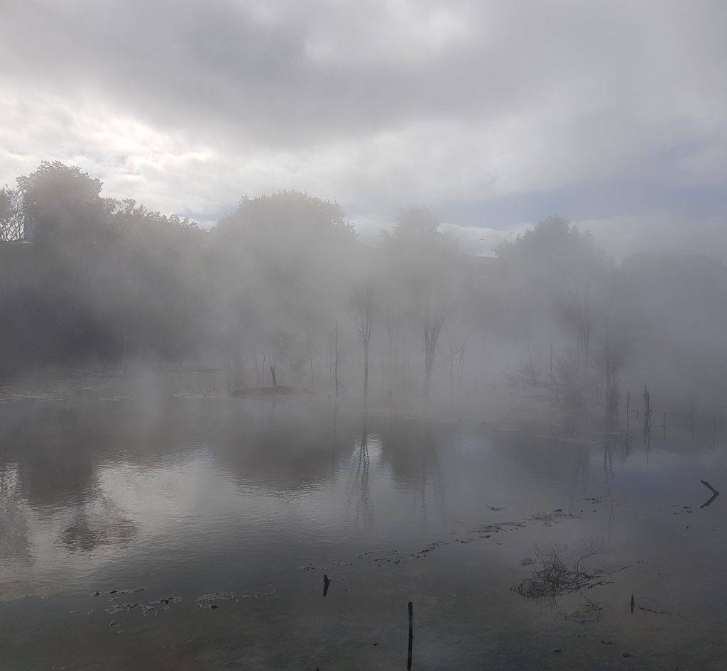 Kuirau Lake