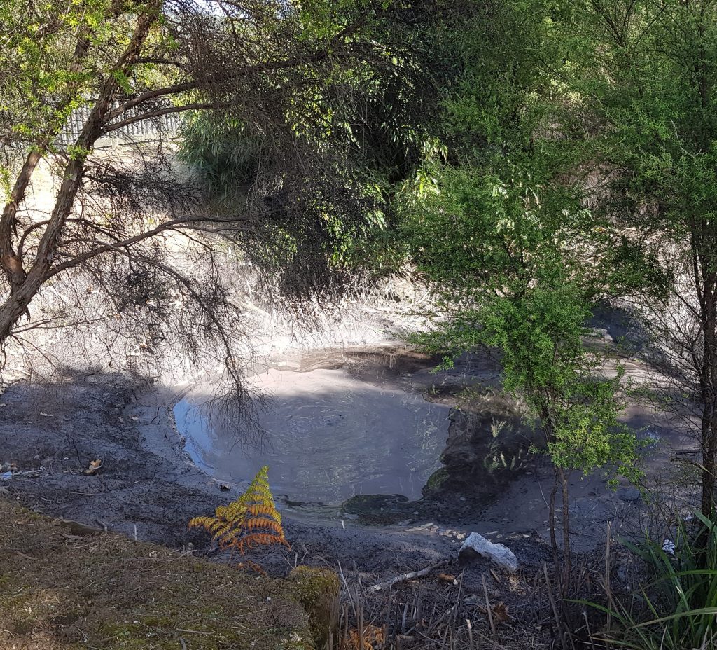 Mud pool at Kuirau Park