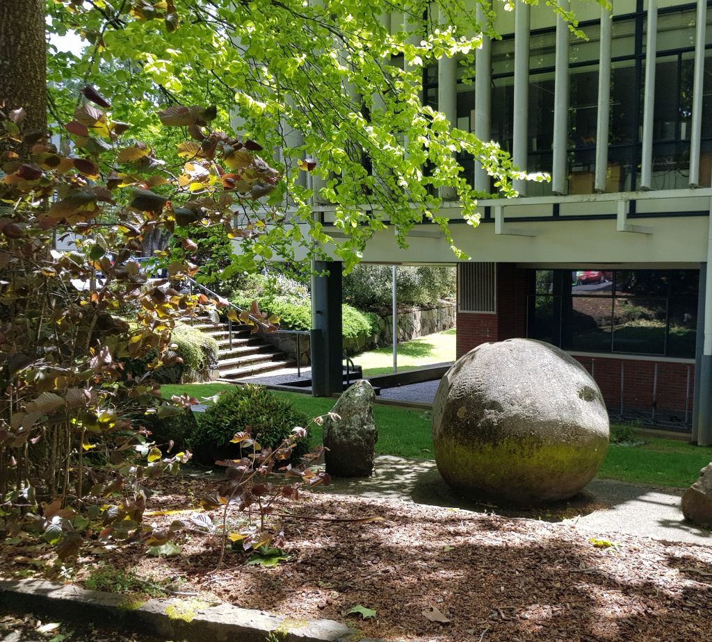 Concretion near Auckland University