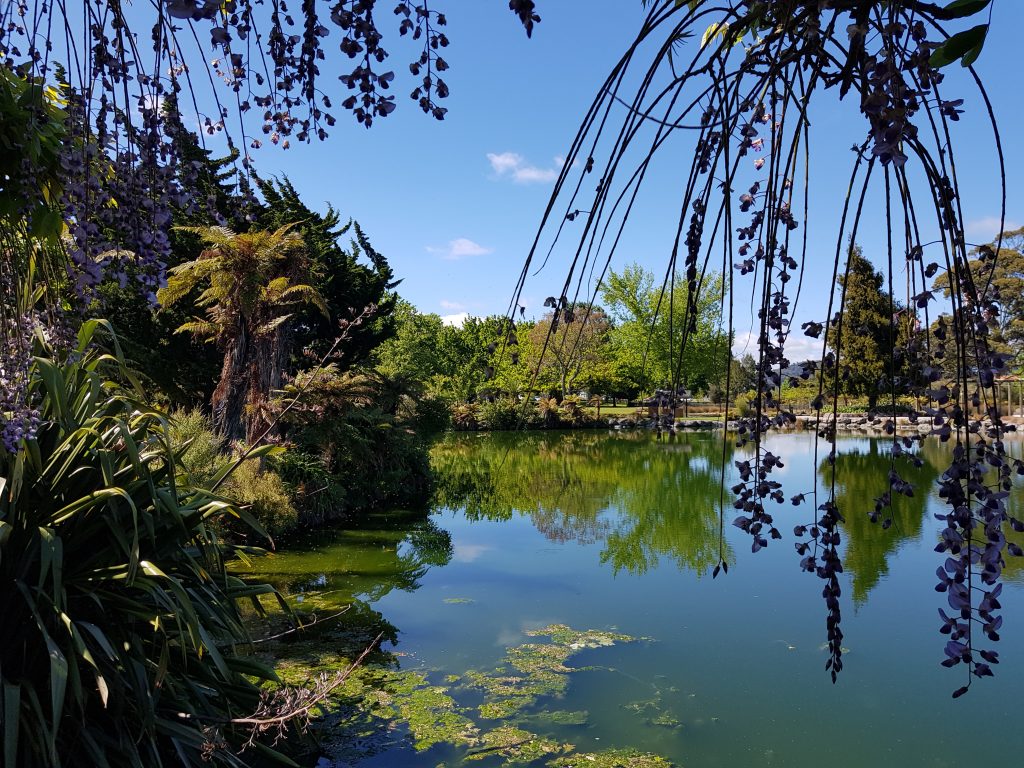 Timaru Lake at Kuirau Park