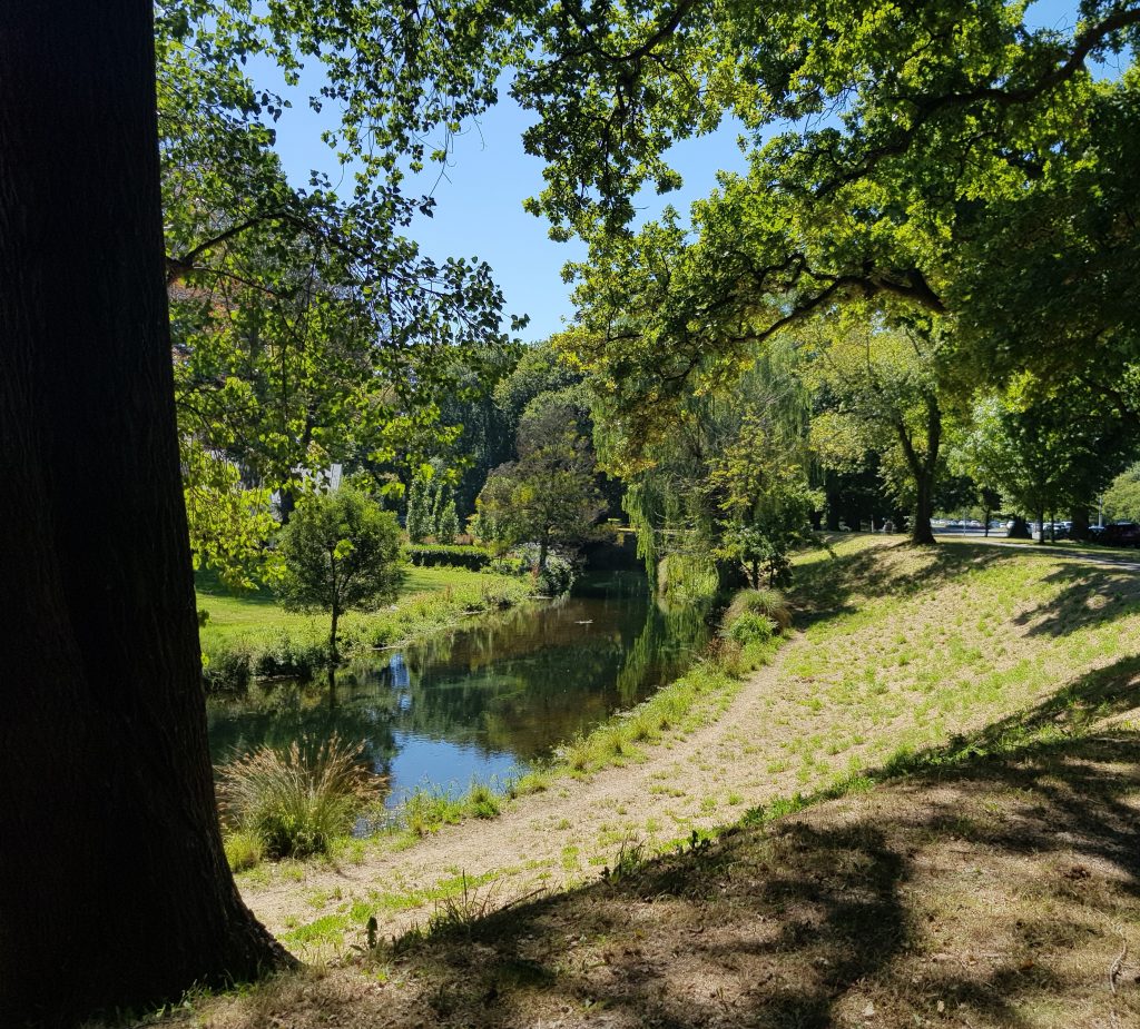 Avon River passing through Hagley Park