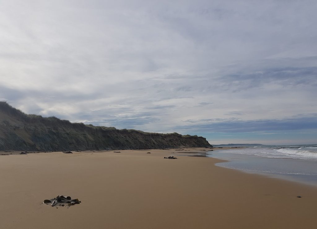 Waipapa Beach