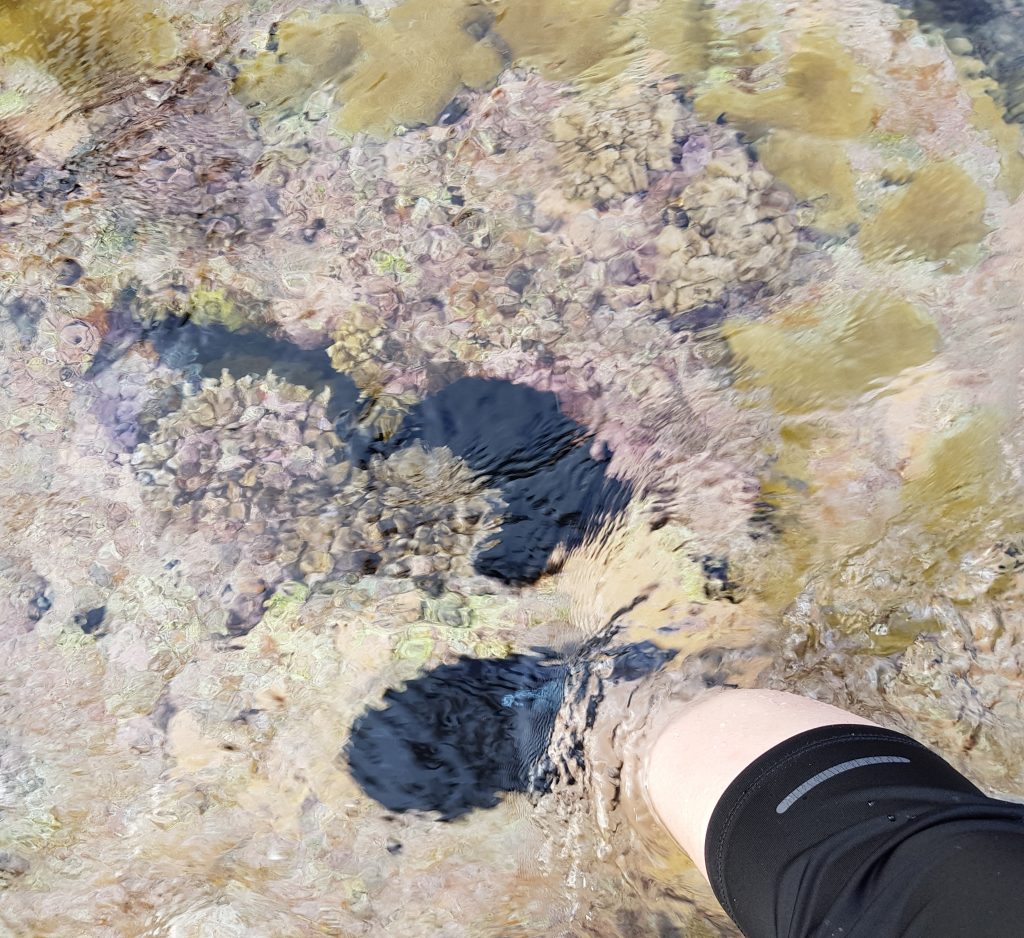 Coral reef at Avatele