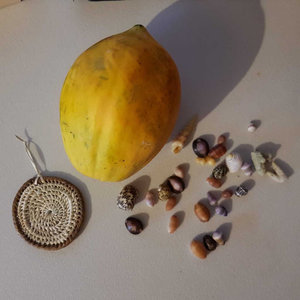 Shells, weaving and paw paw collected in Niue