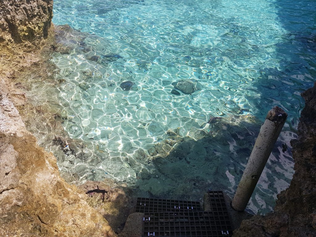 Stairs down to Limu Pool