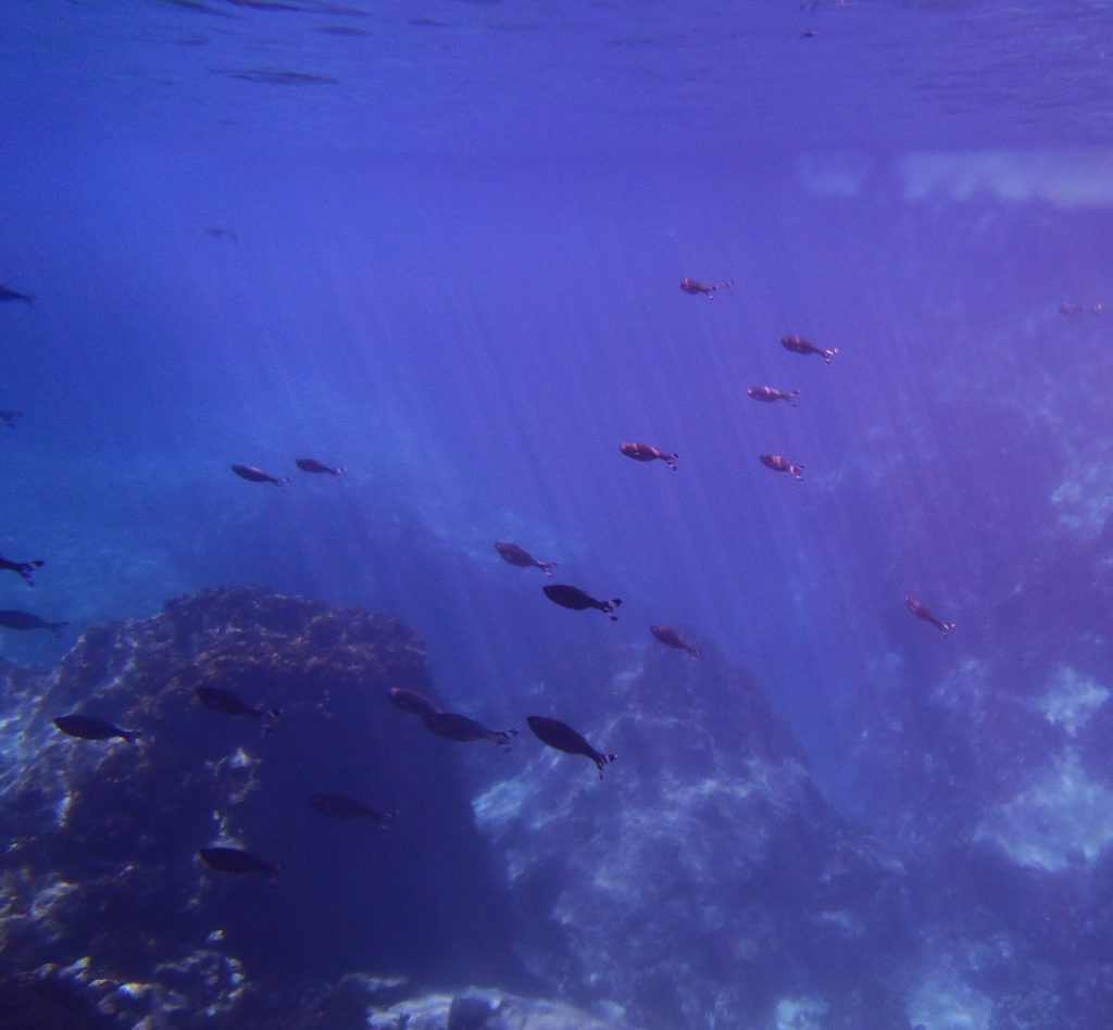 Underwater at Matapa Chasm