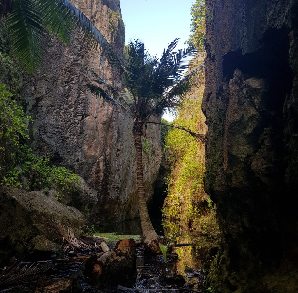 Pool at Togo Chasm