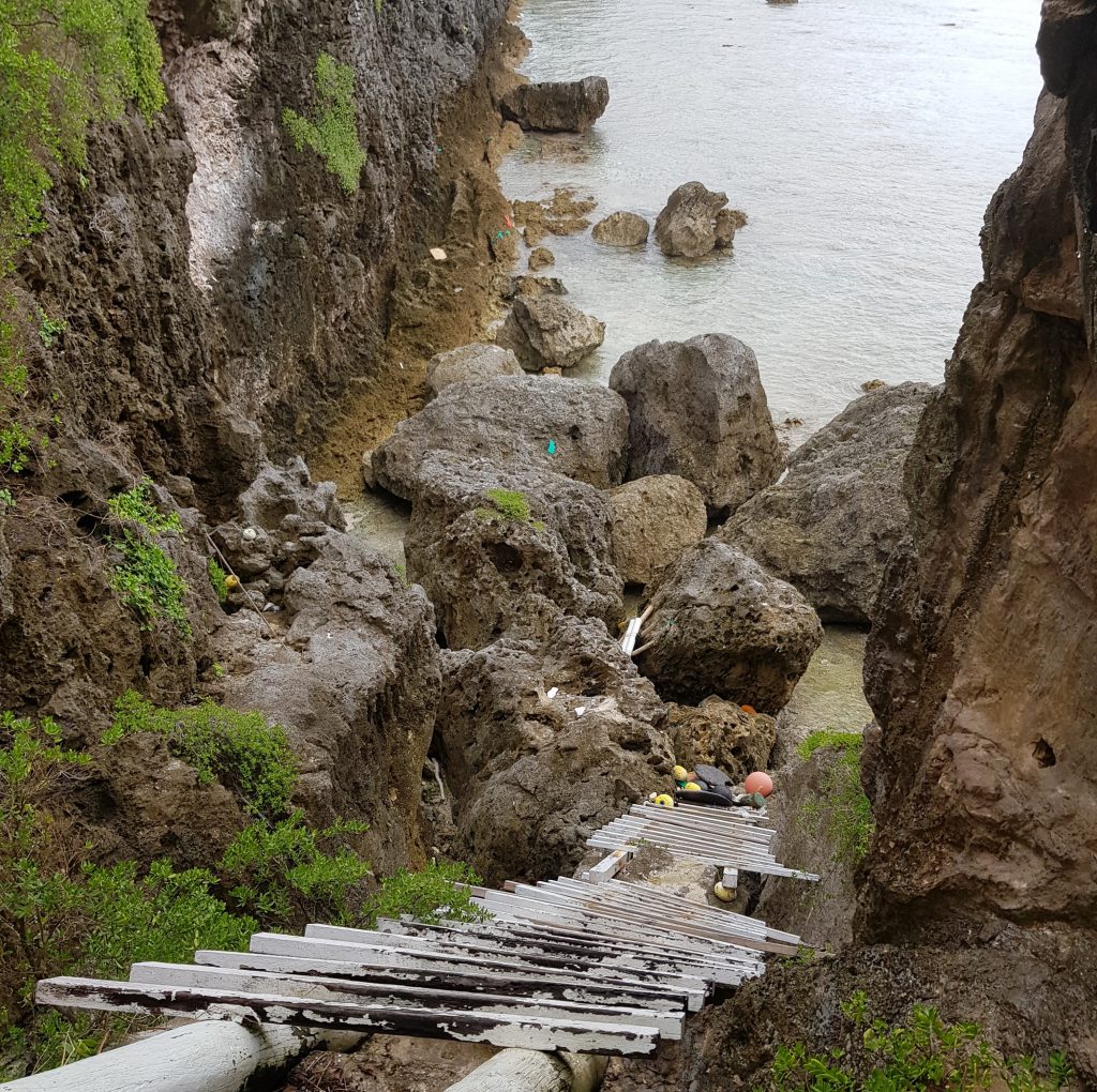 Ladder on Motu Sea Track