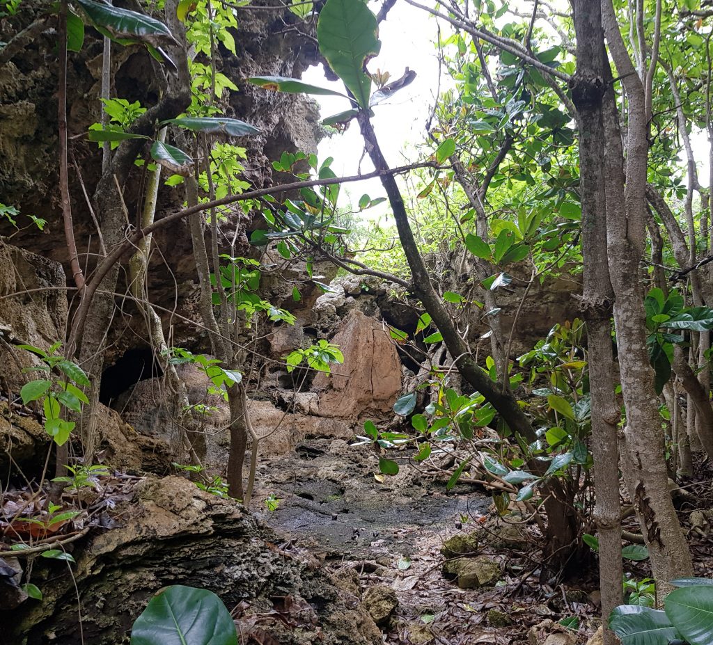 Motu sea track, Niue