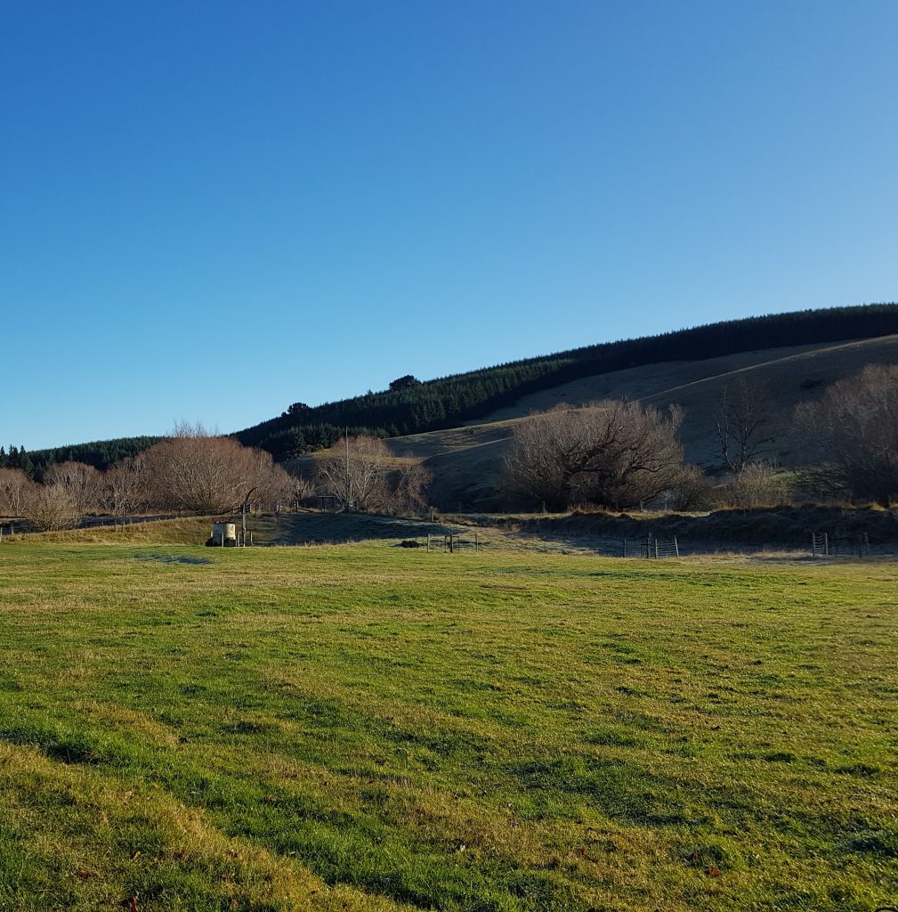 Site of the Chinese Camp, Lawrence