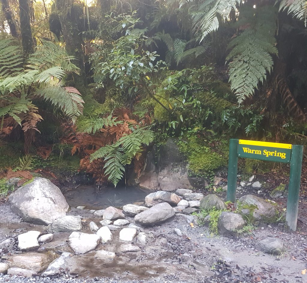 Warm spring on the road to Fox Glacier