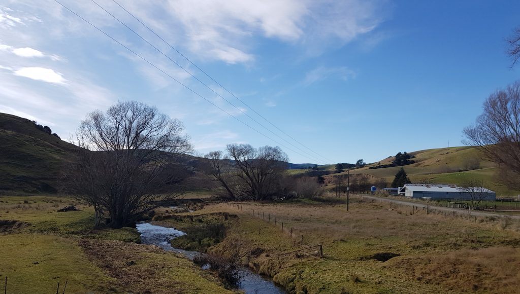 The Tuapeka River at Evans Flat