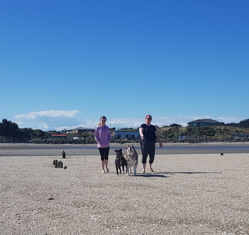 Toetoes Harbour and the Ino