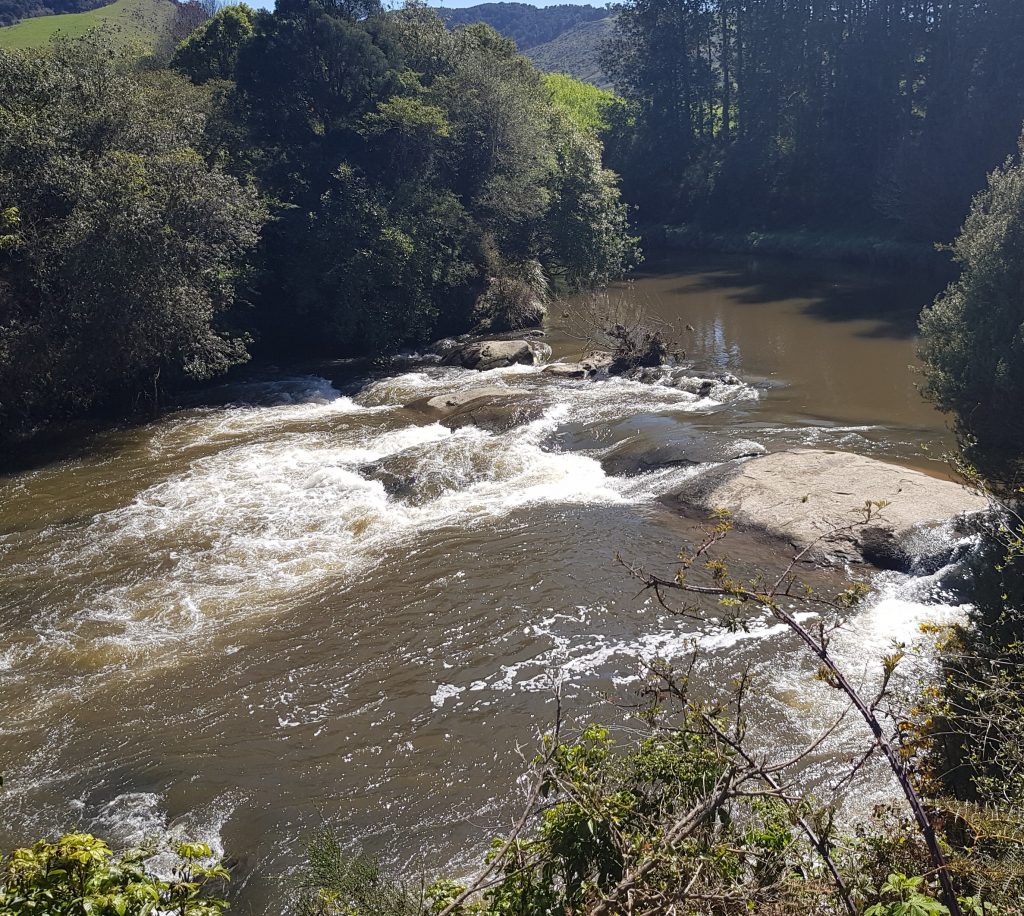 Niagara Falls, Catlins