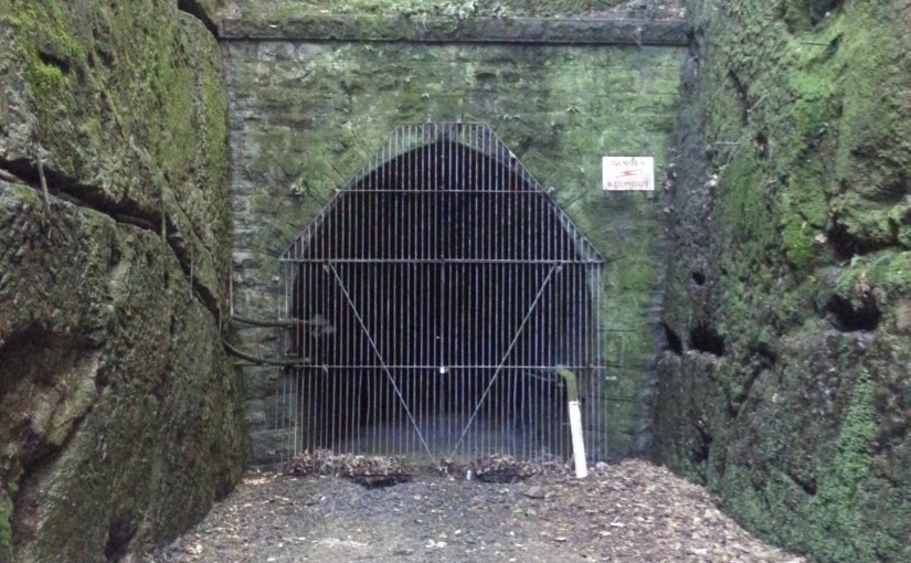 Caversham’s Hidden Tunnel