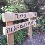 Silverstream - Tunnel Track