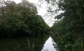 My First European Fishing Trip: The Royal Military Canal at Hythe