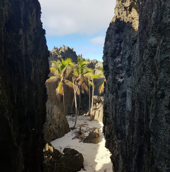 Chasms and Caves of Niue