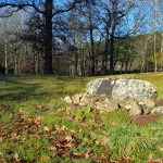 Black Peter's Gold Trail